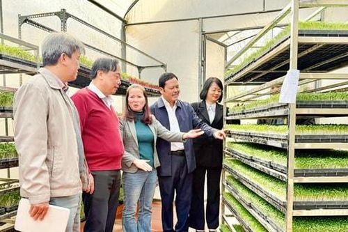 Kiểm soát an toàn thực phẩm: Quản chặt từ đầu vào đến khâu tiêu thụ