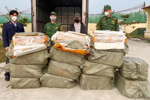 Vận chuyển hơn nửa tấn nầm lợn bốc mùi không rõ nguồn gốc, tài xế bị phạt 35 triệu đồng