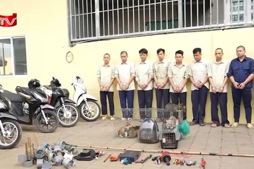 Triệt phá nhóm thanh niên mang súng điện, hơi cay đi 'săn' mèo