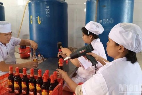 Vui buồn ở làng sản xuất nước mắm truyền thống Cà Ná