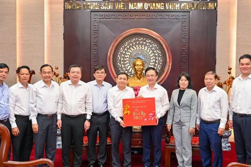 Lãnh đạo Tỉnh ủy Đồng Tháp thăm, chúc tết Đảng bộ TPHCM