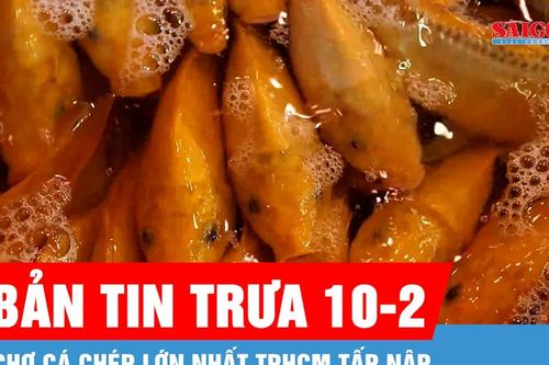 Bản tin trưa 10-2: Chợ cá chép lớn nhất TPHCM tấp nập ngày đưa ông Công ông Táo
