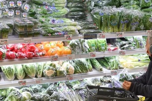 Nợ công Nhật Bản cao kỷ lục