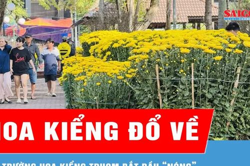 Hoa kiểng đổ về TPHCM, thị trường bắt đầu 'nóng'