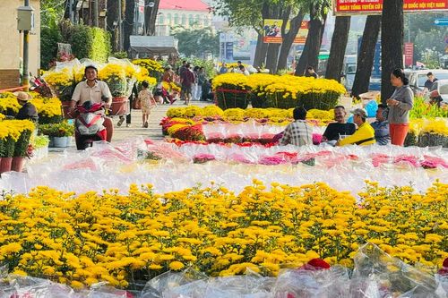 Hoa kiểng đổ về TPHCM, thị trường bắt đầu 'nóng'