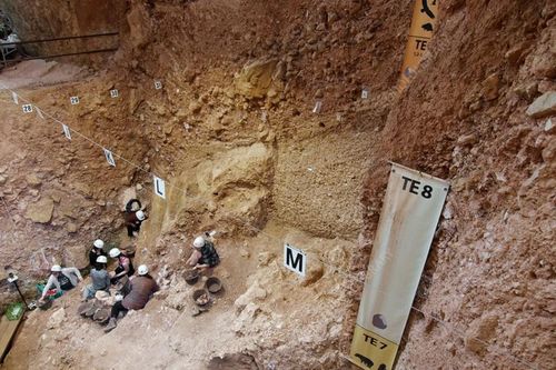 Tìm thấy bộ xương cổ đại thuộc về chủng người chưa từng biết đến?