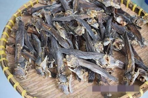 Khô cá 'biết leo cây' hơn nửa triệu đồng/kg hút khách dịp cận Tết