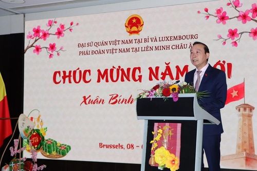 Tết cộng đồng Việt Nam mừng xuân Bính Ngọ 2026 tại Bỉ