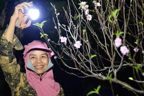 Đêm lạnh bên gốc đào, quất và nỗi lo Tết của người buôn cây