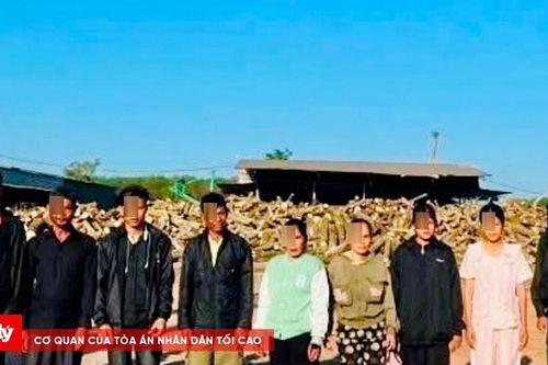Xử phạt 138 triệu đồng, trục xuất 7 người nước ngoài lao động 'chui'