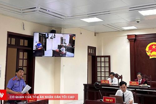 Tuyên án bị cáo tàng trữ trái phép chất ma túy