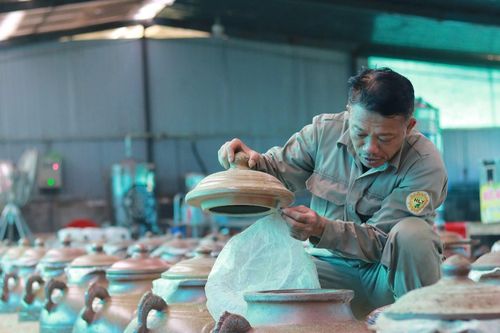 Anh nông dân Hà Tĩnh làm giàu nhờ mô hình 'dưới trồng cây, trên điện mặt trời'