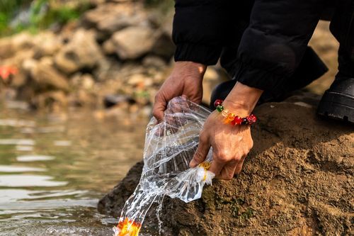 Người Hà Nội chi tiền triệu phóng sinh cá tiễn ông Công, ông Táo về trời