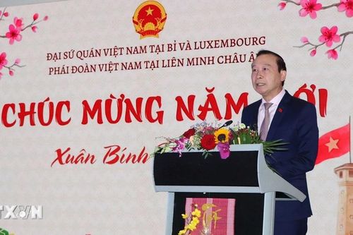 Mang hơi ấm mùa Xuân quê hương đến với kiều bào tại Bỉ