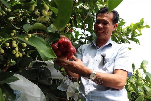 Mở hướng đi bền vững, nâng tầm giá trị nông sản Việt