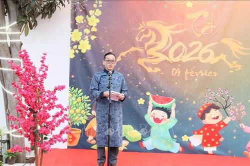 Xuân Bính Ngọ 2026: Kiều bào tại Algeria hướng về quê hương, chào đón Xuân mới