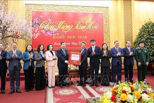 Lãnh đạo Đảng, Quốc hội thăm và chúc Tết tại Ninh Bình, Vĩnh Long