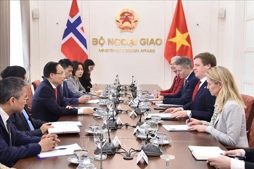 Việt Nam - Na Uy thúc đẩy hợp tác thương mại, kinh tế xanh