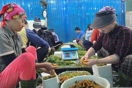 Đặc sản xứ Nghệ vào vụ lớn nhất năm