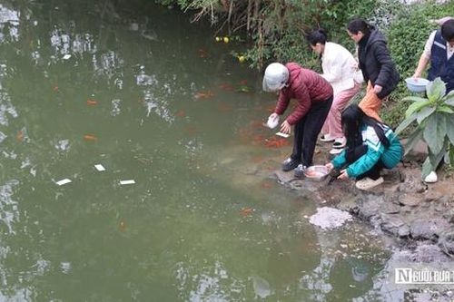 Ngày cúng ông Công, ông Táo: Cá chép 'ngộp thở' vì tro rác phủ kín mặt sông