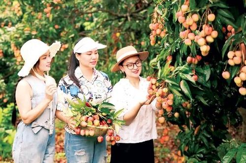 Xã Phúc Hòa: Tinh hoa đất và người
