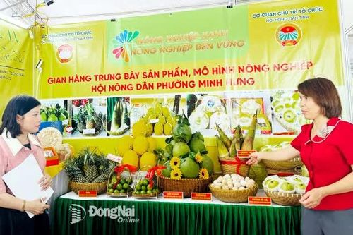 Sức mua tăng nhưng nguồn cung trái cây tươi dồi dào