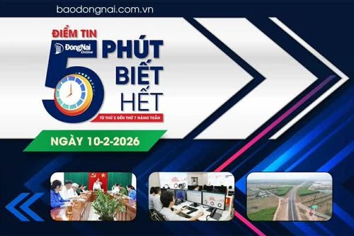 Điểm tin '5 phút biết hết' sáng 10-2: Đảm bảo các hoạt động vui Xuân, đón Tết vui tươi, an toàn