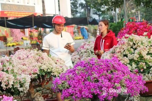 Hơn 200 gian hàng hoa Tết tại hội chợ hoa xuân lớn nhất khu vực Biên Hòa