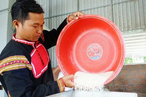 Tạo sinh kế bền vững cho thanh niên Jrai từ mô hình hợp tác xã