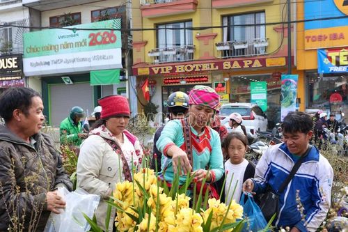 Nhộn nhịp chợ hoa Sa Pa