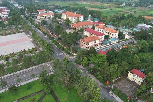 Mùa xuân trên vùng đất lúa Cát Tiên