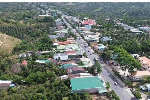 Xuân về trên miền đất sầu riêng tỷ phú Đạ Huoai 2