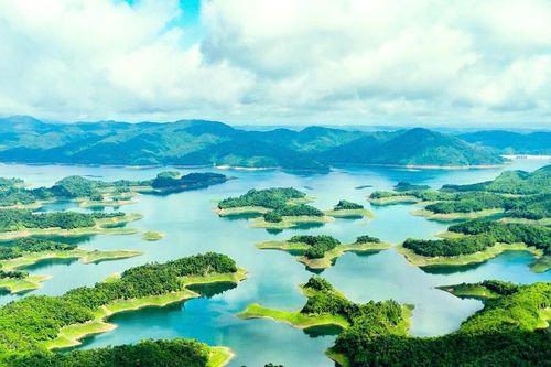 Xuân về trên những cánh rừng xanh Lâm Đồng