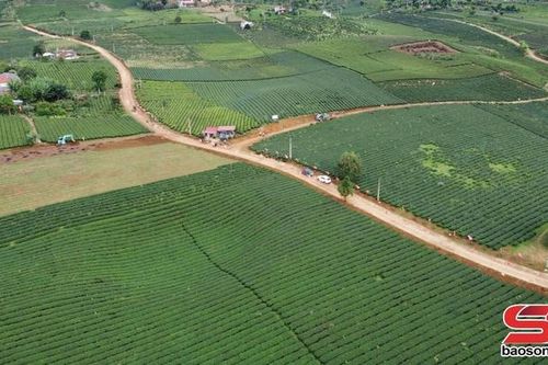 Bình Thuận chuyển dịch cơ cấu kinh tế