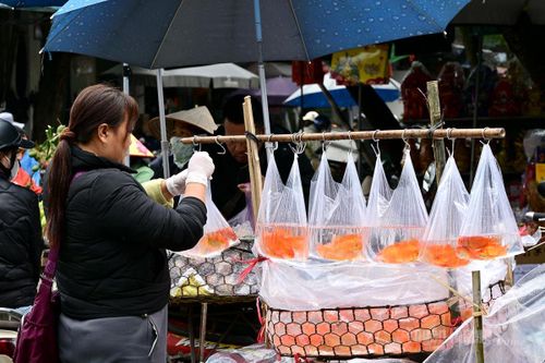 Truyền thống Tết ông Công, ông Táo