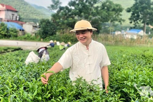 Người đi trên 'đường cũ'
