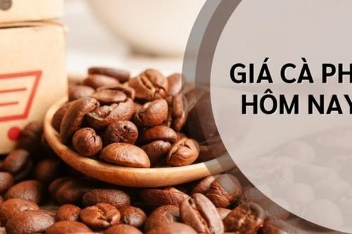 Ngày 10/2: Giá cà phê bật tăng mạnh, hồ tiêu duy trì ở mức cao