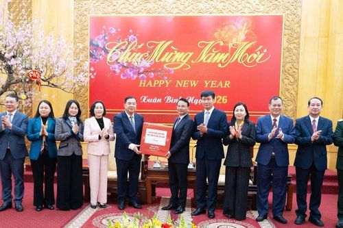 Lãnh đạo Đảng, Nhà nước thăm, chúc Tết Đảng bộ, chính quyền và Nhân dân tỉnh Ninh Bình