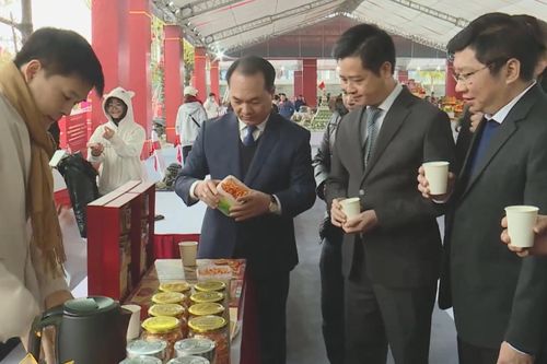 Xuân đoàn viên kết nối cung - cầu