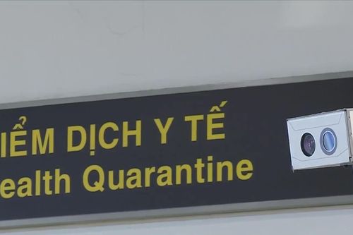 Chủ động kiểm soát dịch Nipah trong dịp Tết