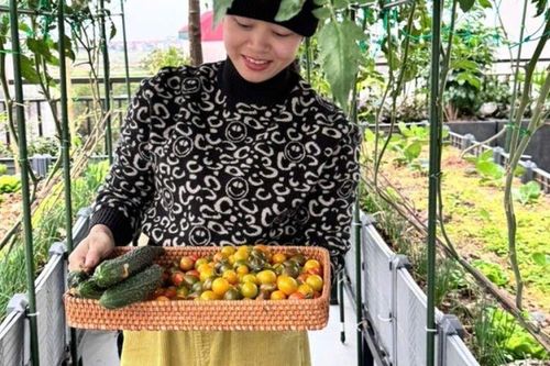 Mẹ đảm Bắc Ninh biến ngôi nhà thành tổ ấm phủ đầy hoa lá, khu vườn sân thượng 90m2 sum suê rau củ