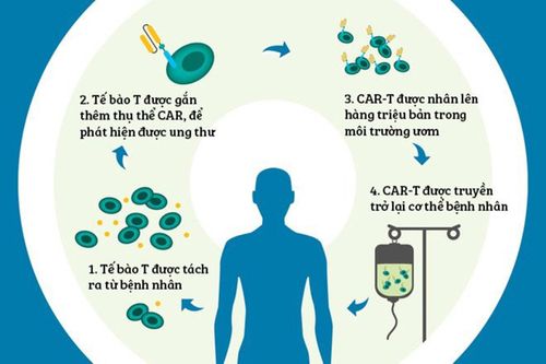 Liệu pháp CAR-T được dùng điều trị ung thư máu là gì?