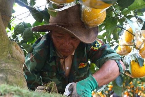 Tất tả mưu sinh ngày cận Tết