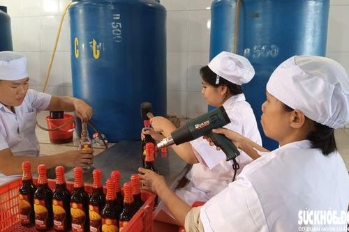 Cận Tết, làng nước mắm truyền thống Cà Ná tất bật sản xuất trong nỗi lo sức mua giảm