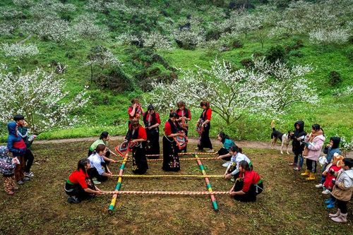 Phát động Cuộc thi Ảnh, Video 'Tết hạnh phúc'