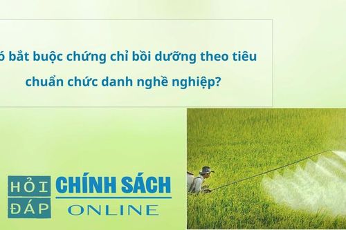 Có bắt buộc chứng chỉ bồi dưỡng theo tiêu chuẩn chức danh nghề nghiệp
