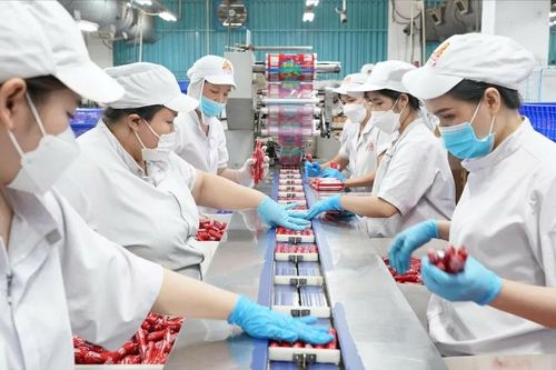 Gần 2.600 sản phẩm nông nghiệp nhập khẩu vào Trung Quốc bị yêu cầu đăng ký