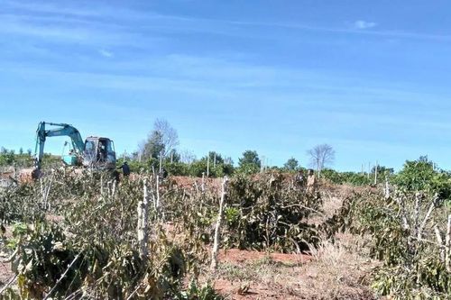 Khẩn trương chi trả bồi thường Dự án thành phần 3 cao tốc Quy Nhơn – Pleiku