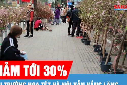 Thị trường hoa tết Hà Nội ảm đạm dù cận tết