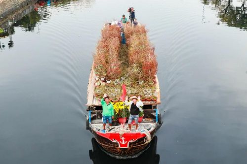 Đi ghe xuyên đêm để kịp tụ hội Chợ hoa 'trên bến dưới thuyền'